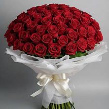 Букет 101 Красная роза Блэк Мэджик в Мальчевской