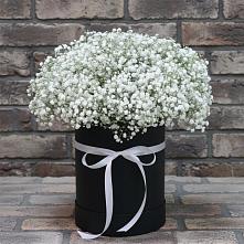 Цветочная композиция из Гипсофила в шляпной коробке #REPLACE_PRED# Мальчевской