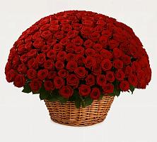 Премиум букет из: Розы #REPLACE_PRED# Мальчевской